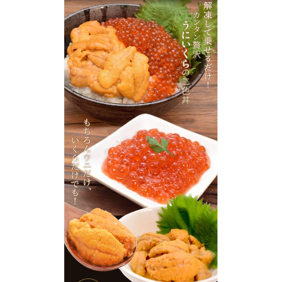 うに いくら セット 天然生うに 200g（100g×2個） 醤油漬け