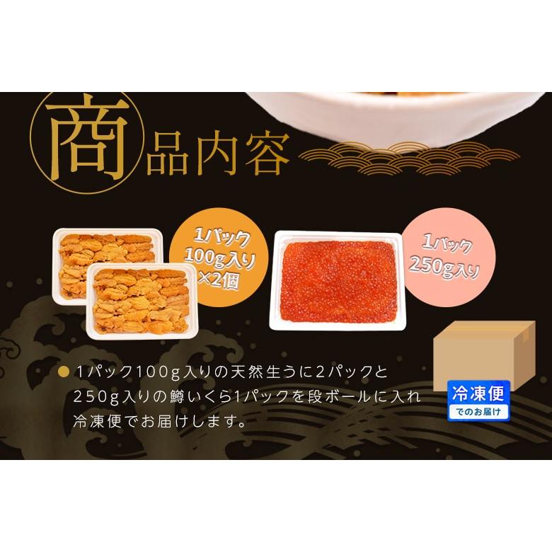 うに いくら セット 天然生うに 200g（100g×2個） 醤油漬け