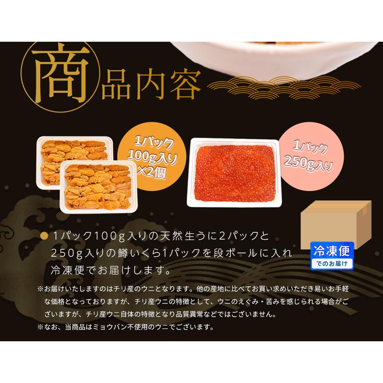 いくら うに うにいくらページ3点 セット イクラ ウニ 200g イクラ醤油漬け 200g 無添加ウニ ヘアアクセサリー