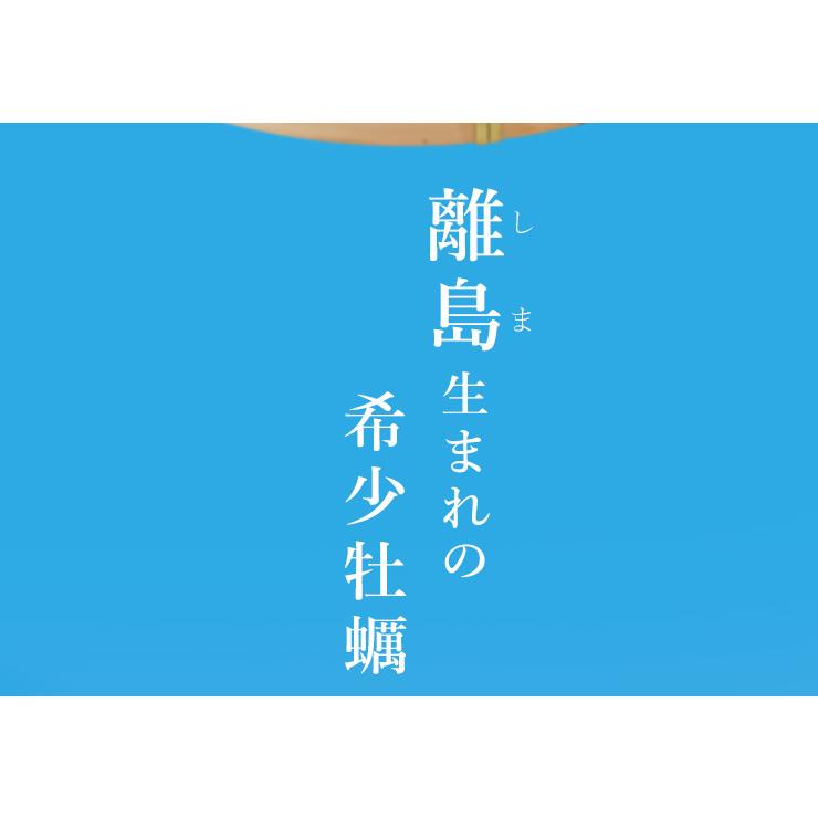 牡蠣 桃こまち カンカン焼き セット Ｍ〜Ｌサイズ ２０個入 冷凍牡蠣 送料無料 産地厳選 ミニ缶入（牡蠣ナイフ・片手用軍手付き）一斗缶 海鮮バーベキューセット | ブランド登録なし | 04