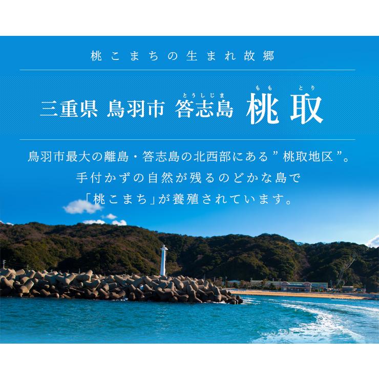牡蠣 桃こまち カンカン焼き セット Ｍ〜Ｌサイズ ２０個入 冷凍牡蠣 送料無料 産地厳選 ミニ缶入（牡蠣ナイフ・片手用軍手付き）一斗缶 海鮮バーベキューセット | ブランド登録なし | 06