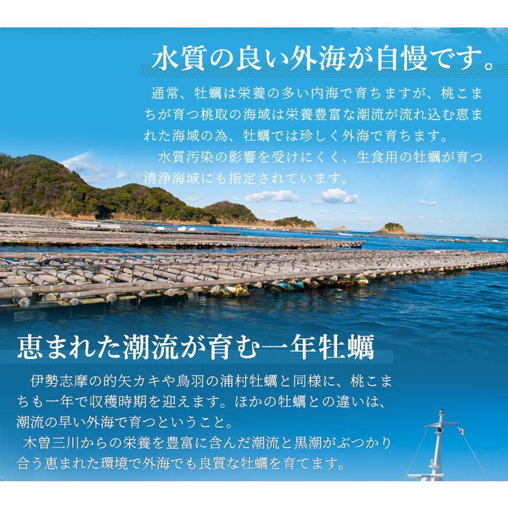 牡蠣 桃こまち カンカン焼き セット Ｍ〜Ｌサイズ ２０個入 冷凍牡蠣 送料無料 産地厳選 ミニ缶入（牡蠣ナイフ・片手用軍手付き）一斗缶 海鮮バーベキューセット | ブランド登録なし | 07