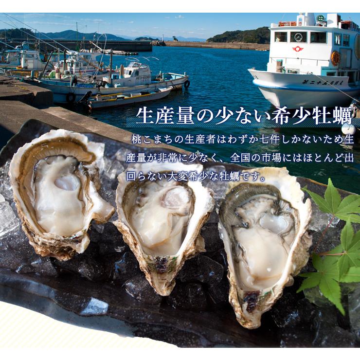 牡蠣 桃こまち カンカン焼き セット Ｍ〜Ｌサイズ ２０個入 冷凍牡蠣 送料無料 産地厳選 ミニ缶入（牡蠣ナイフ・片手用軍手付き）一斗缶 海鮮バーベキューセット | ブランド登録なし | 08