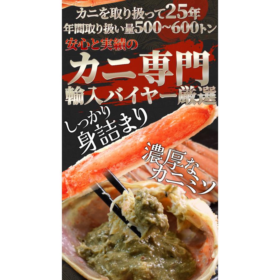 かに ずわいがに ボイル 姿 ２尾で１.２ｋｇ前後（６００ｇ前後×２ハイ）かにみそ 年末年始 送料無料 本ズワイガニ 蟹｜isesima｜03