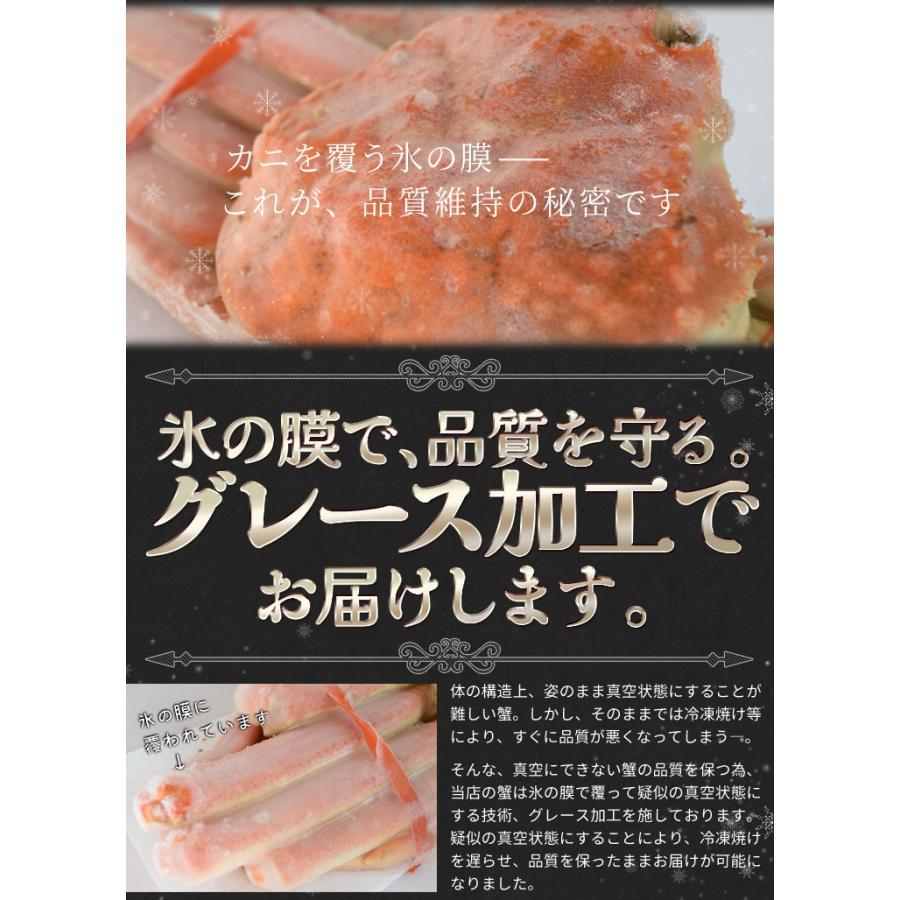 かに ずわいがに ボイル 姿 ２尾で１.２ｋｇ前後（６００ｇ前後×２ハイ）かにみそ 年末年始 送料無料 本ズワイガニ 蟹｜isesima｜09