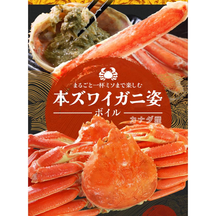 かに ずわいがに ボイル 姿 3尾で1.5kg前後（500g前後×3ハイ