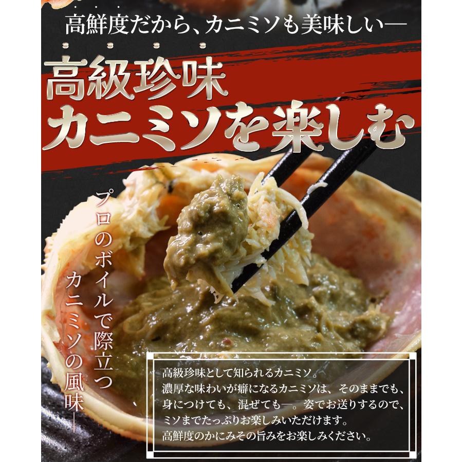 かに ずわいがに ボイル 姿 3尾で1.5kg前後（500g前後×3ハイ
