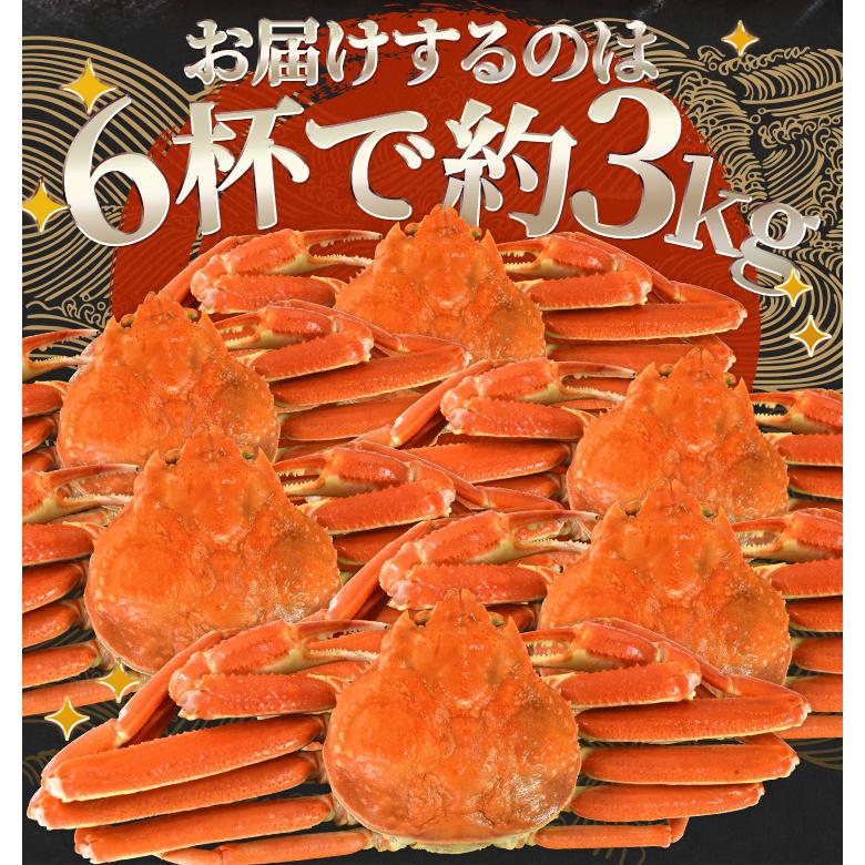 冷凍ボイル本ズワイガニ6尾/総重量3kg