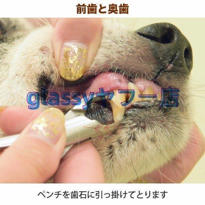 愛犬?愛猫用歯石取りペンチ犬歯石デンタルケアホームケア猫プロも愛用 : イセストア - 通販 - Yahoo!ショッピング