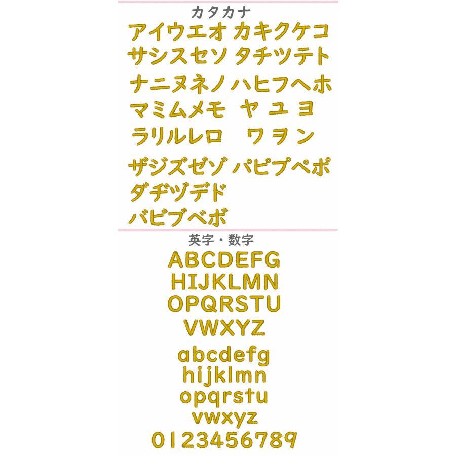 5枚セット【メール便送料無料】名入れハンカチお名前刺繍入り ハンカチ