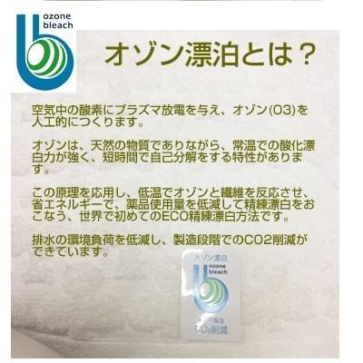 今治タオル クローバー フェイスタオル エコ 訳あり  数量限定 ポイント消化 格安｜isg1496｜03