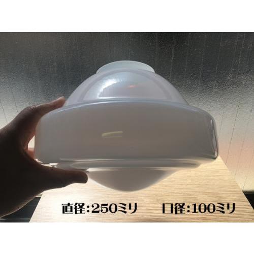 直径：250ミリ / ペンダントランプ 大正浪漫 復刻 オパールガラス C