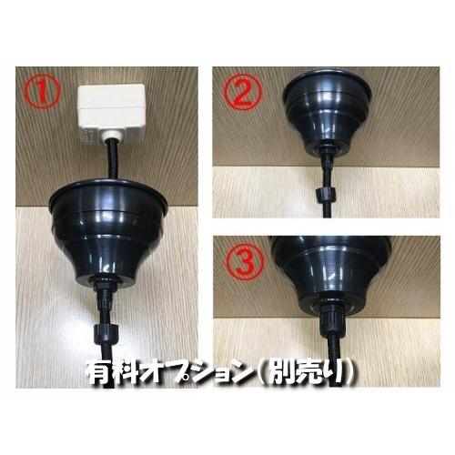 直径：250ミリ / ペンダントランプ 大正浪漫 復刻 オパールガラス C