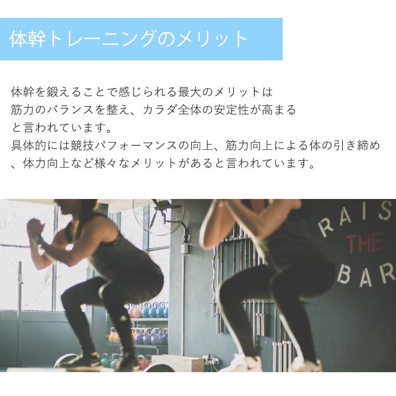バランスボード バランスディスク 体幹 トレーニング 自宅 ジム コア