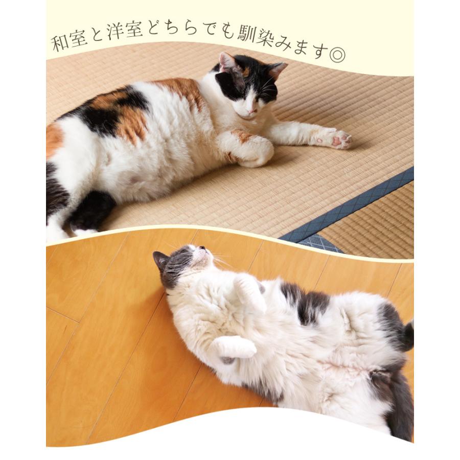 猫用 お布団 ペットベッド Mサイズ 35×55cm おしゃれ かわいい ネコ用 