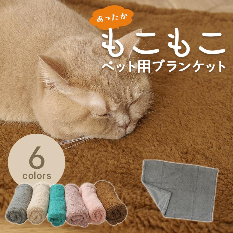 もこもこあったかおうちねこの会 ねこブランケット 背中あったか 楽天