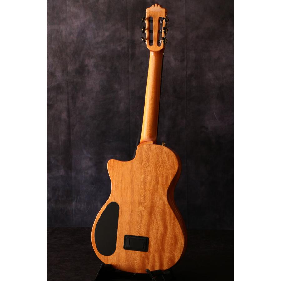 Cordoba / Stage Traditional Ceder エレガット [2024年新商品]コルドバ(S/N 92328966)(御茶ノ水HARVEST_GUITARS)｜ishibashi-shops｜04