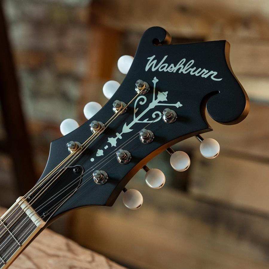 Washburn / Americana M3E-Pack Sunburst ワッシュバーン マンドリン 