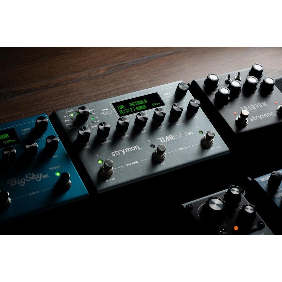 Strymon / TimeLine MX タイムライン ディレイ ストライモン(御茶ノ水