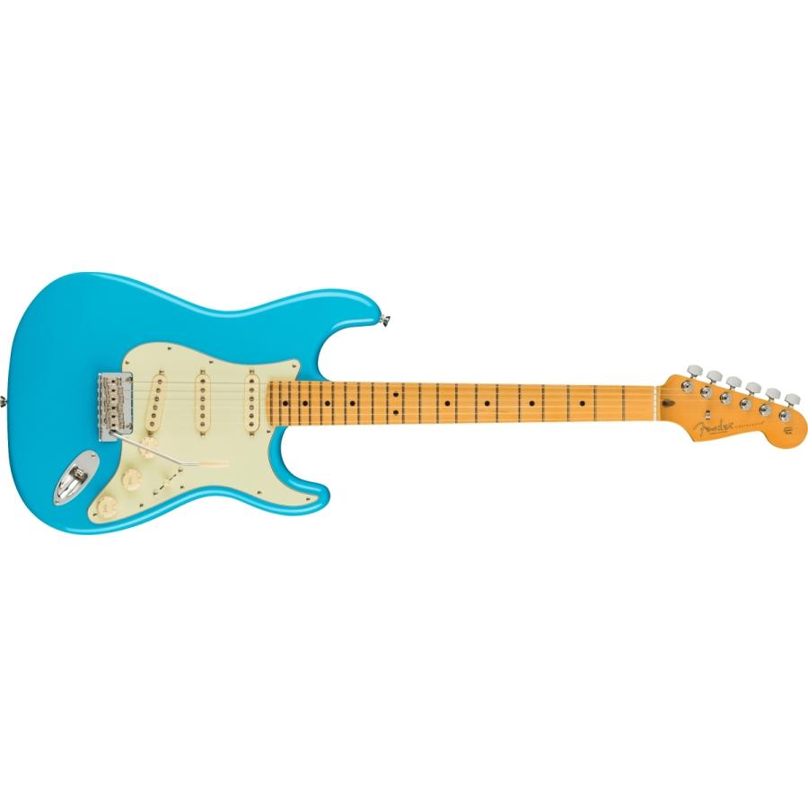 Fender（フェンダー） (WEBSHOPクリアランスセール)Fender / American