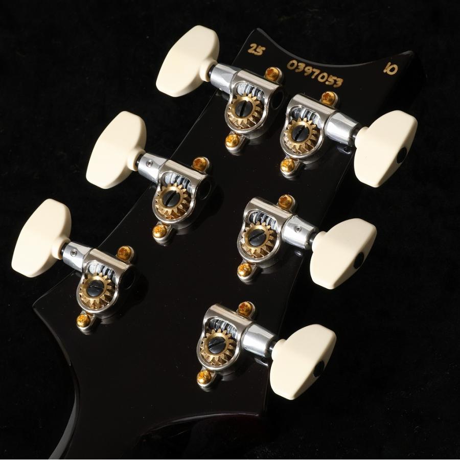 Paul Reed Smith (PRS) / 2025 McCarty 594 10Top Custom Color