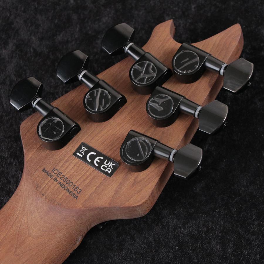 EVH / Wolfgang Standard T.O.M. Baked Maple Fingerboard Gloss