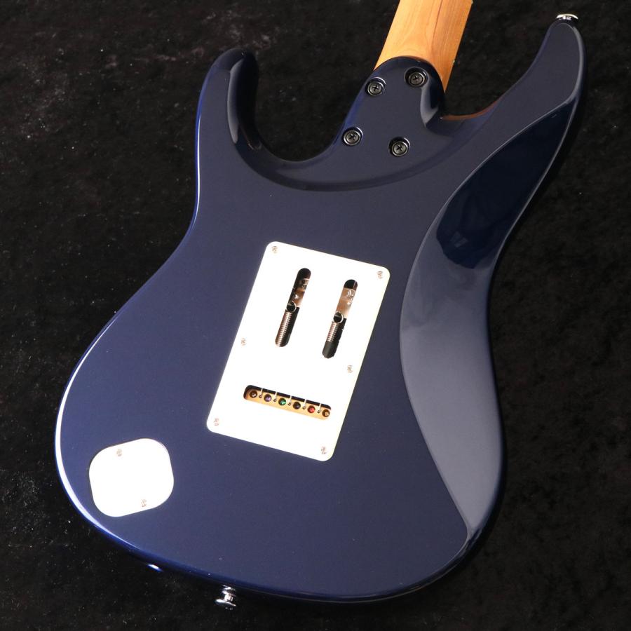 Ibanez（アイバニーズ） Ibanez / Prestige Series AZ2204NW-DTB Dark