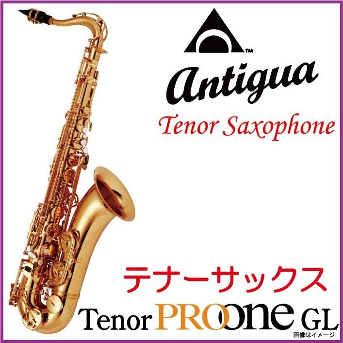Antigua アンティグア 《即納可能》 / Tenor Saxophone Pro One GL 