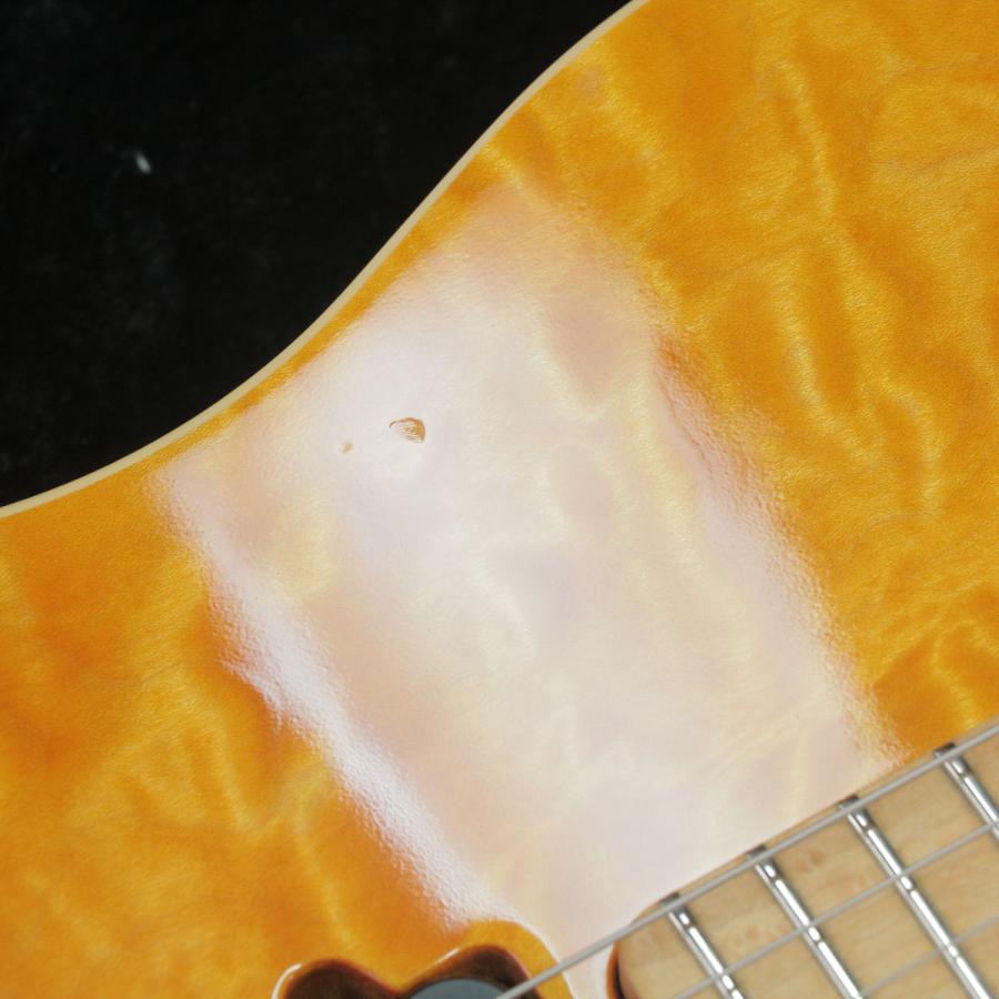Music Man (中古)MUSIC MAN / EVH Signature Trans Gold (御茶ノ水本店