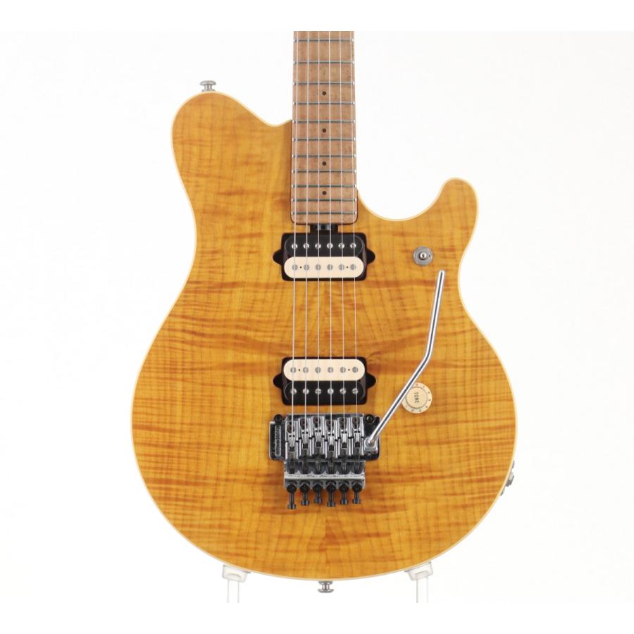 中古)MUSIC MAN / EVH SIGNATURE TG (御茶ノ水本店) : イシバシ楽器 17