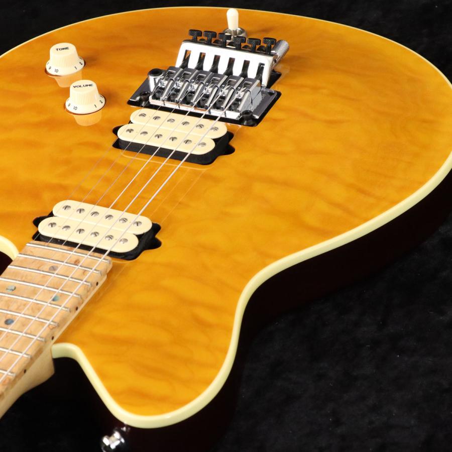中古)TERRY ROGERS / MALLIE Trans Honey Gold (御茶ノ水本店