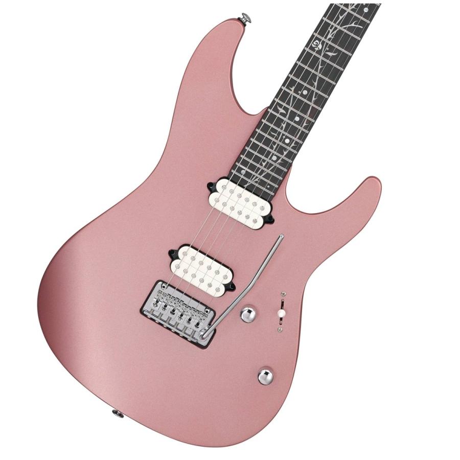 Ibanez（アイバニーズ） Ibanez / Tim Henson (Polyphia) Signature