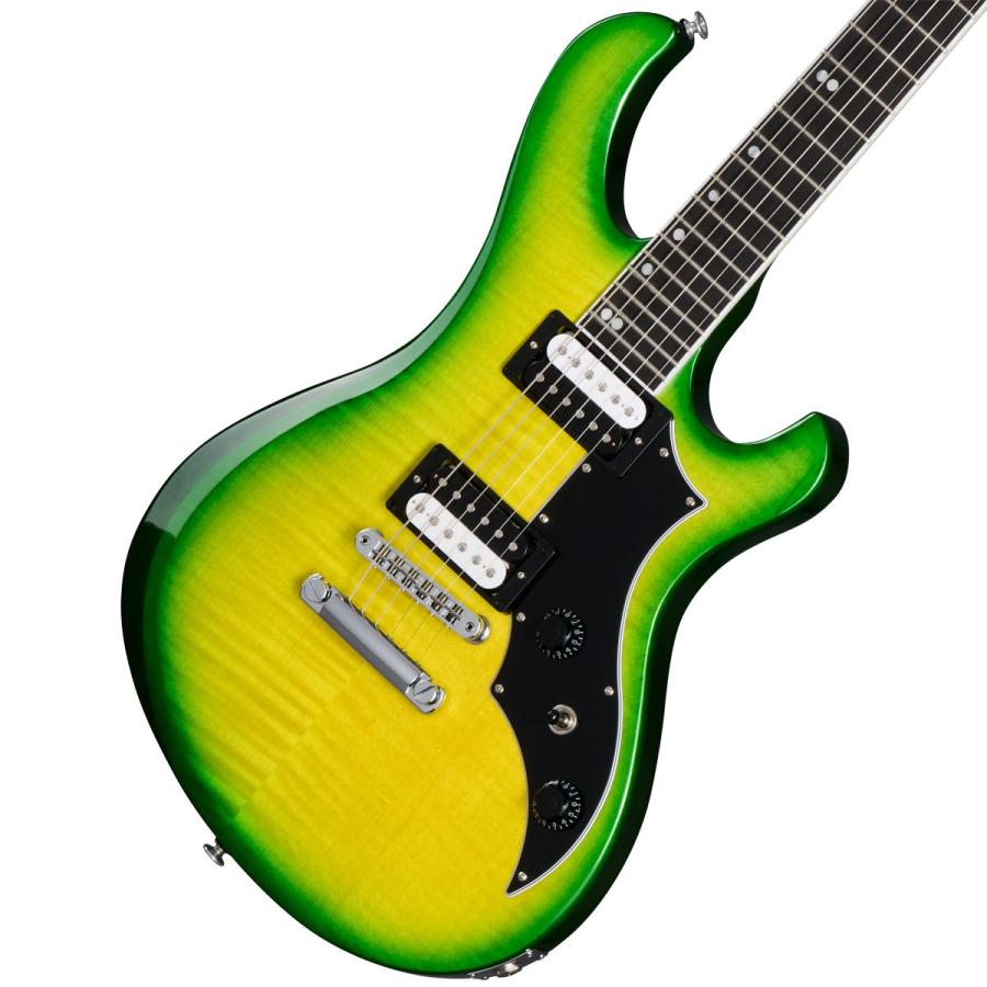 Gibson（ギブソン） Gibson USA / Victory Figured Top Iguana Burst