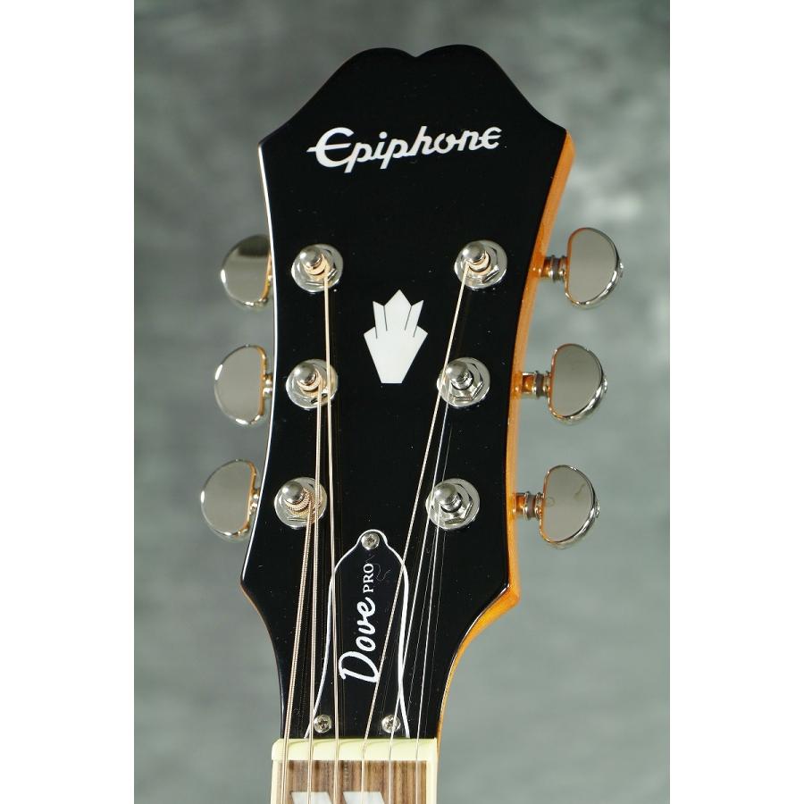 EPIPHONE / DOVE STUDIO VB (Violinburst) (DOVE PRO) エピフォン