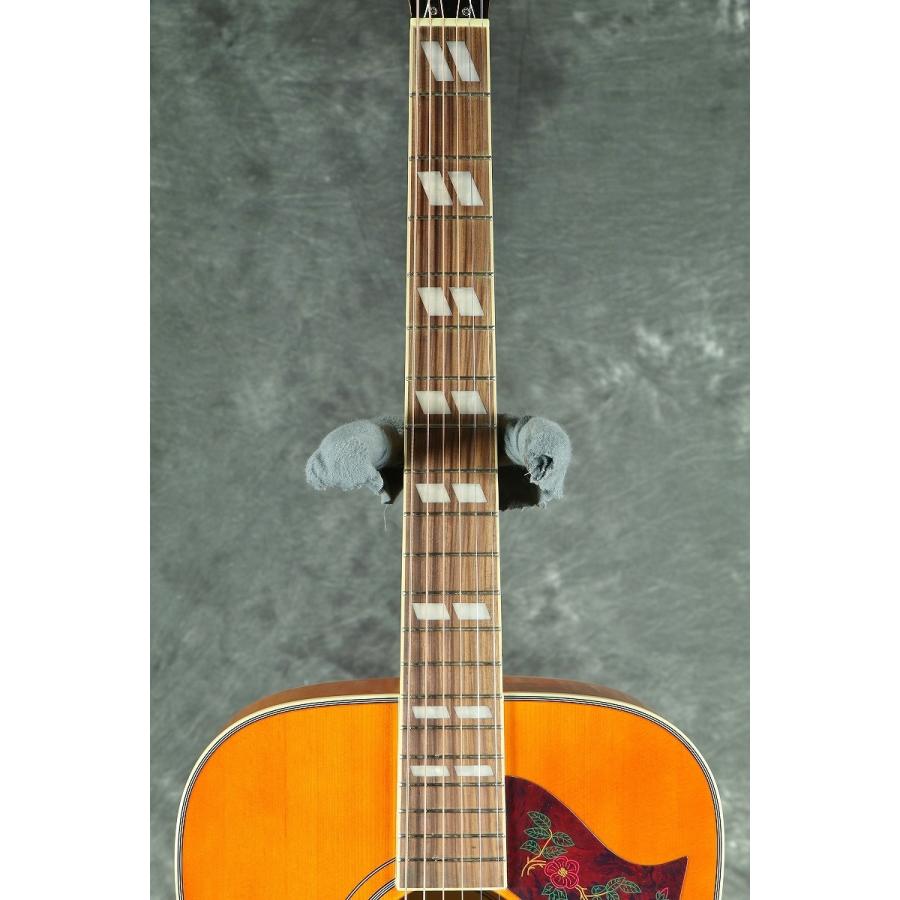 EPIPHONE / DOVE STUDIO VB (Violinburst) (DOVE PRO) エピフォン