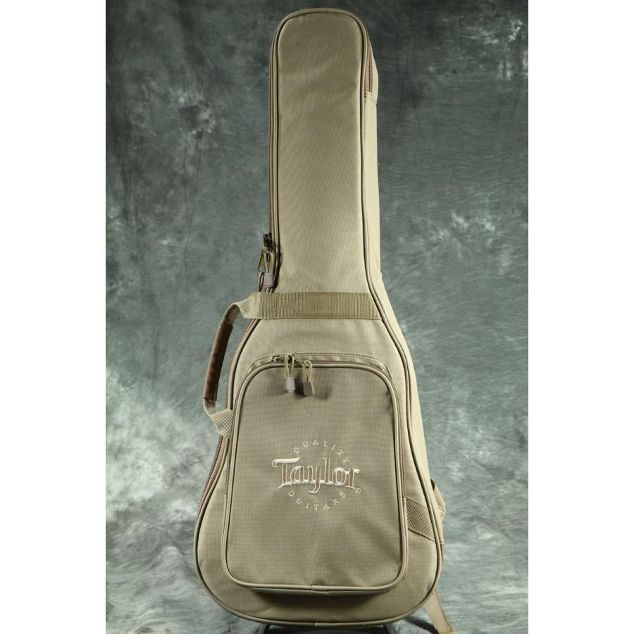 Taylor / Baby Taylor NAT (Natural) テイラー ミニ アコースティック 