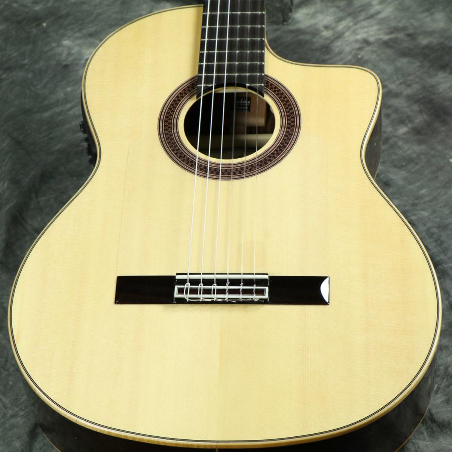 植物学 企業 縁石 渋谷 ギター 買取 種 説明する 征服する