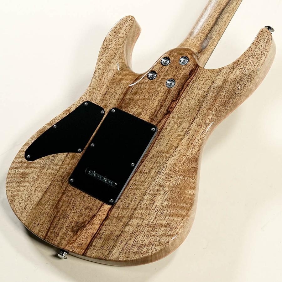 Suhr Custom / Modern Carve Top Trans Algae (渋谷店) : イシバシ楽器