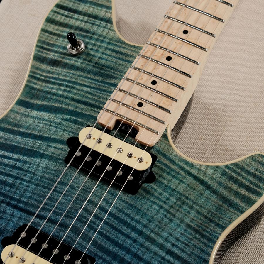 peavey hp2 美品　ハードケース付き peavey hp2 美品 ハードケース付き - メルカリ