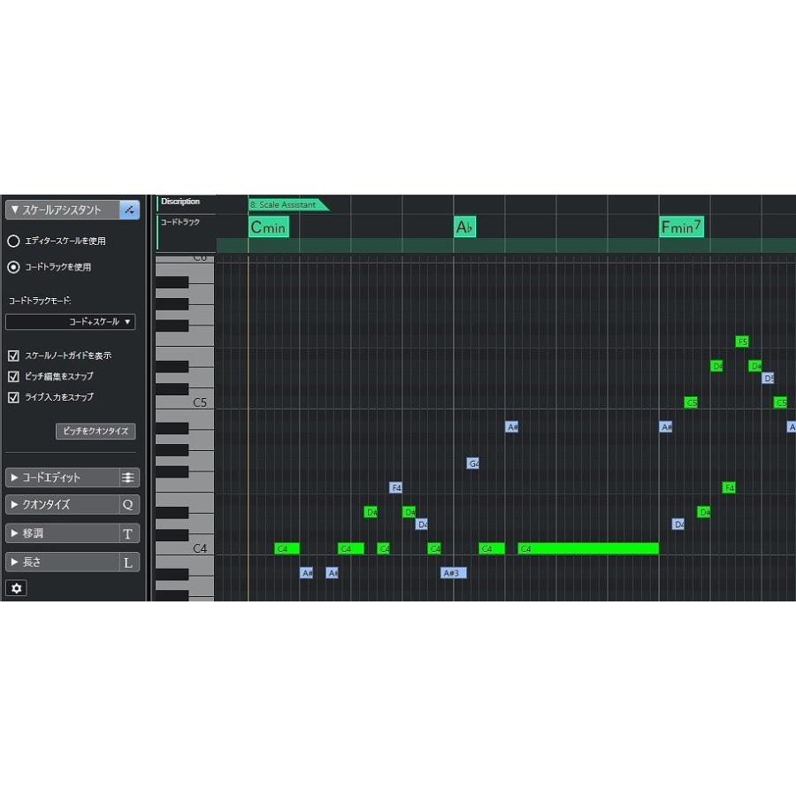 Steinberg スタインバーグ / Cubase Pro 12 通常版 DAWソフトウェア