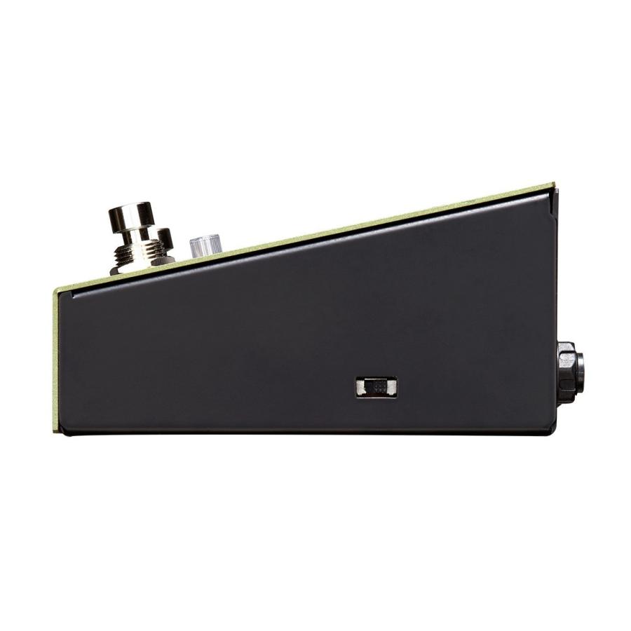 Free The Tone FT-2Y Digital Delay 新品 FREE THE TONE FT-2Y ディレイ FREE THE TONE FT-2Y コンパクト