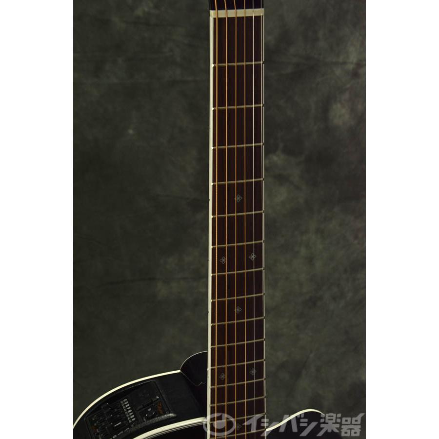Takamine / PTU121C GBB タカミネ アコースティックギター エレアコ 