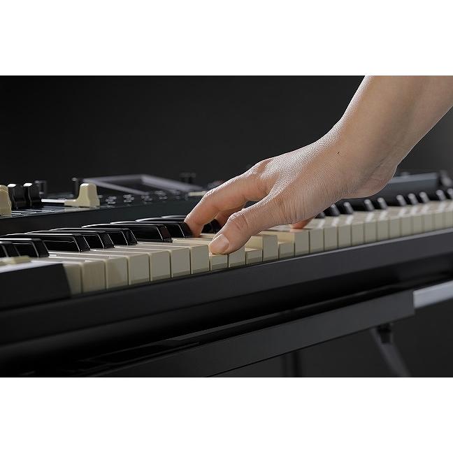 HAMMOND ハモンド / SK PRO-73 73鍵盤 ステージキーボード(お取り寄せ商品)(渋谷店)｜ishibashi-shops｜12