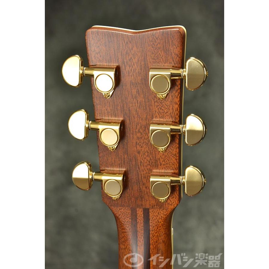 YAMAHA / LJ6 ARE Natural(NT)(専用ケースつき)ヤマハ