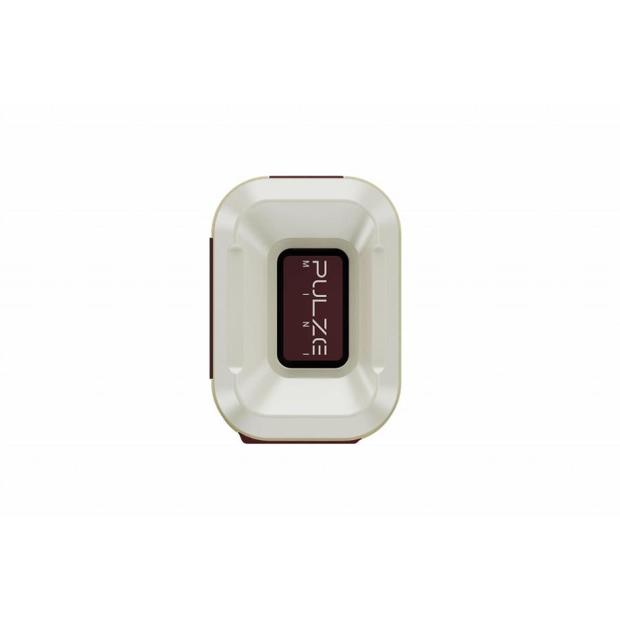 HOTONE / PULZE MINI AP-5WH パルスミニ 小型デジタルマルチアンプ