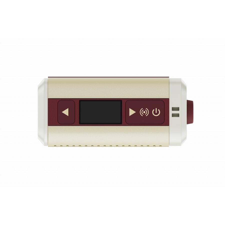HOTONE / PULZE MINI AP-5WH パルスミニ 小型デジタルマルチアンプ