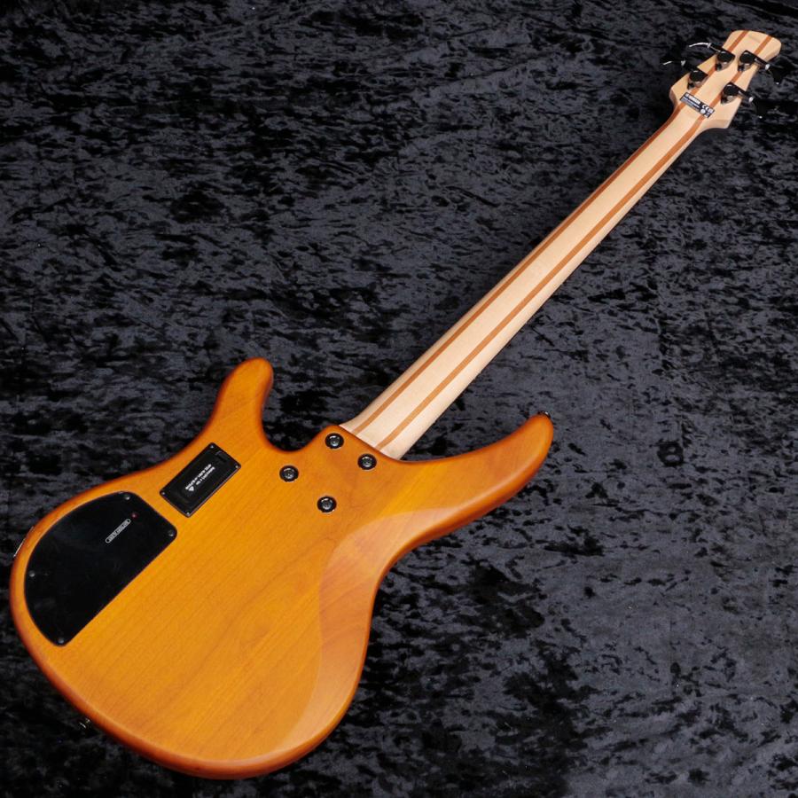 YAMAHA / TRBX604FM Mat Amber (MAM) (新宿店)_2