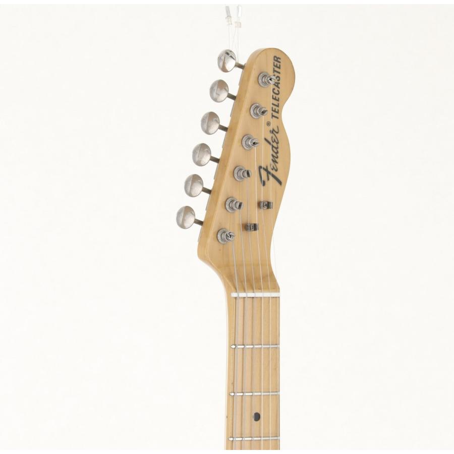 JAPAN / TN70/MAHO Thinline Natural (新宿店) 【ゴールドカラー】