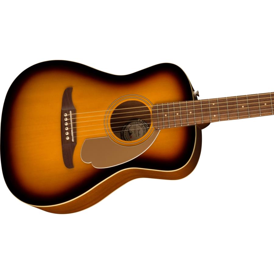 Fender (WEBSHOPクリアランスセール)Fender / Malibu Player