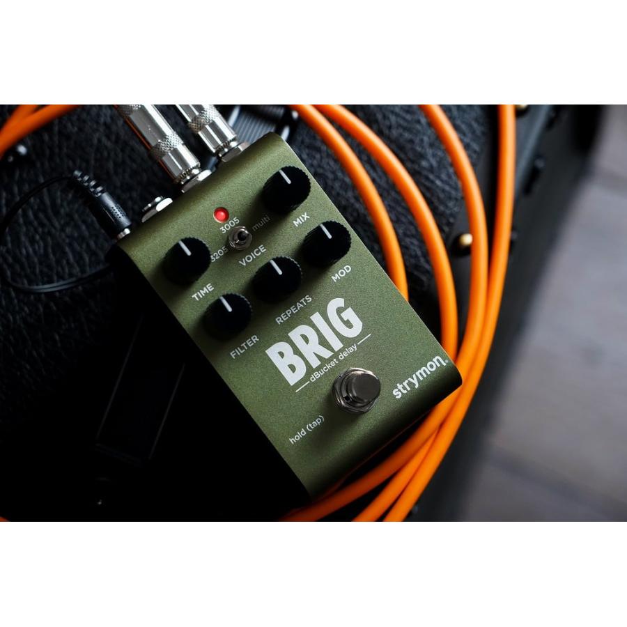 Strymon / BRIG ブリッグ ディレイ ストライモン : イシバシ楽器 17